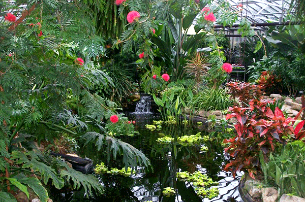 tropicalhouse