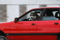 2016100414234026.gif