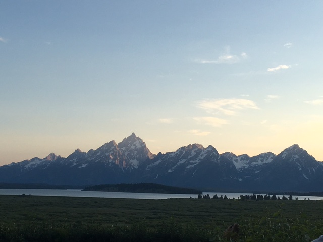 2017071910324781.jpg