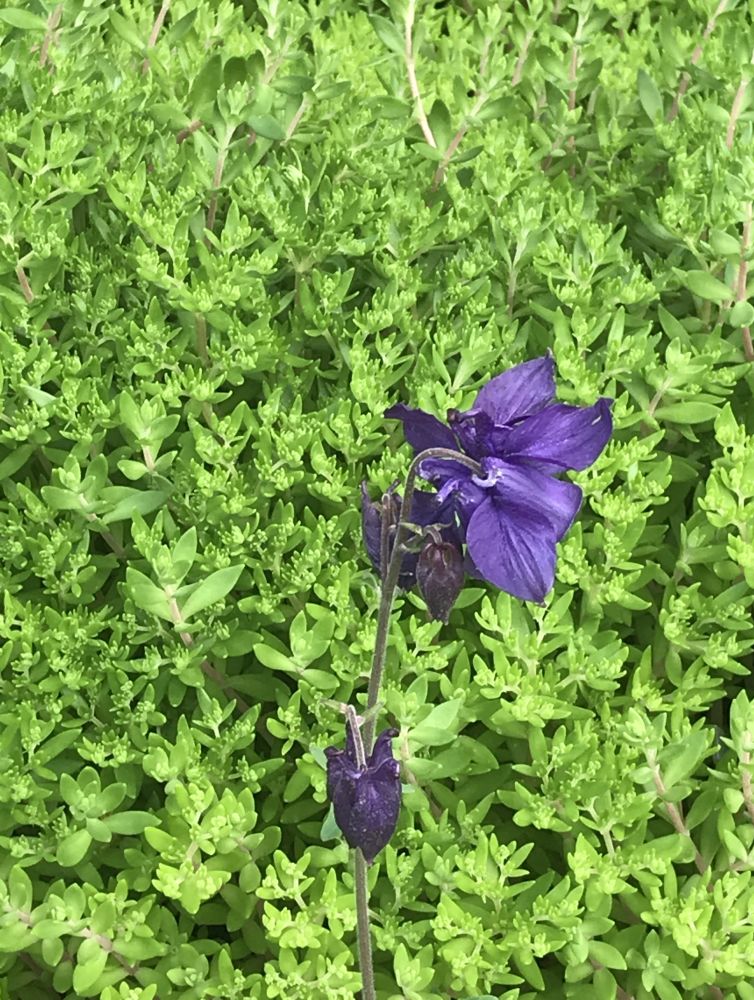 2019043011292960.jpg